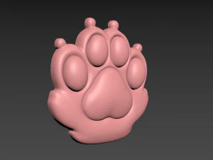 Cat Paw 3D Print Model