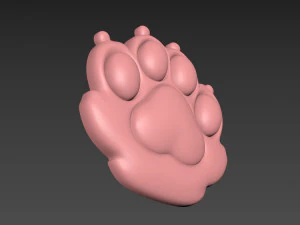Cat Paw 3D Print Model