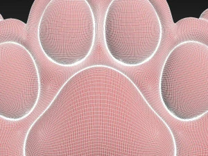 Cat Paw 3D Print Model