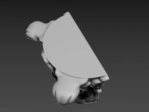 Capital 3D Model