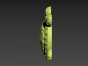 Turtle 3D Print Model