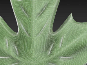 Maple Leaf 3D Print Model