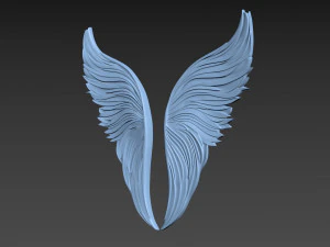 Wings 3D Print Model