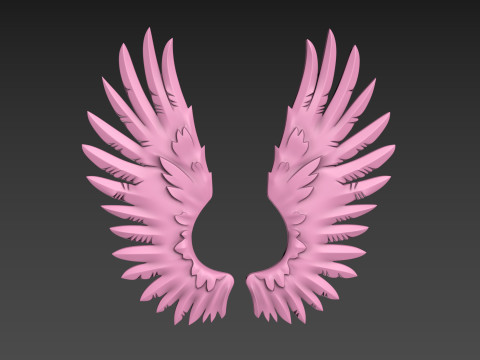 Wings relief 3D प्रिंट मॉडल