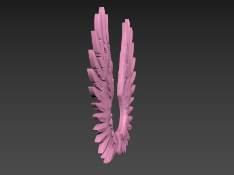 Wings relief 3D प्रिंट मॉडल