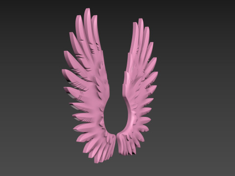 Wings relief 3D प्रिंट मॉडल