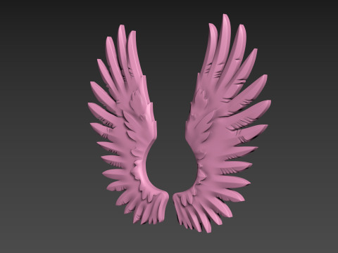 Wings relief 3D प्रिंट मॉडल