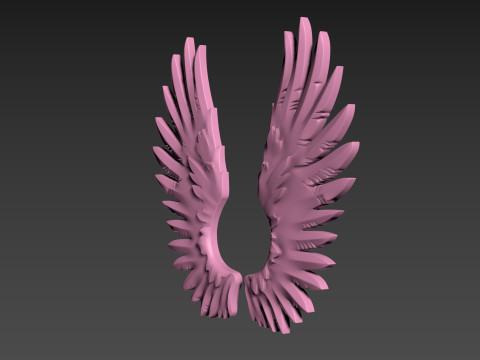 Wings relief 3D प्रिंट मॉडल