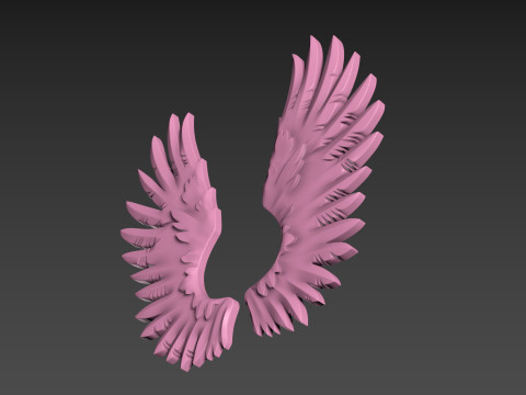Wings relief 3D प्रिंट मॉडल