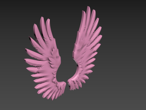 Wings relief 3D प्रिंट मॉडल