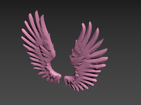 Wings relief 3D प्रिंट मॉडल