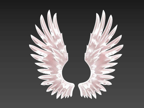 Wings relief 3D प्रिंट मॉडल
