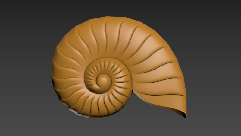 Seashell Shell Clam shell 3D Print Model .c4d .max .obj .3ds .fbx .stl .blend 