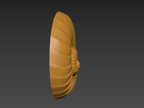 Seashell Shell Clam shell 3D Print Model