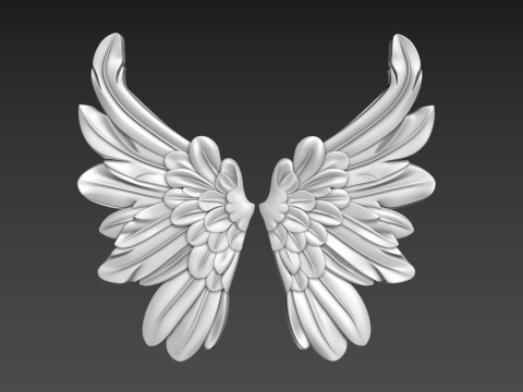 Wings Relief Modello 3D