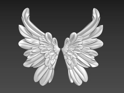 Rilievo delle ali Modello 3D