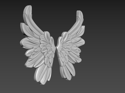 Wings Relief 3D Model