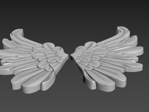 Wings Relief 3D Model