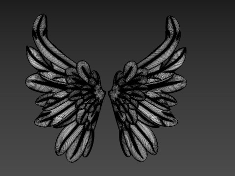 Wings Relief 3D Model