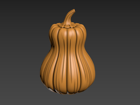 Pumpkin Vegetable2 3D Print Model