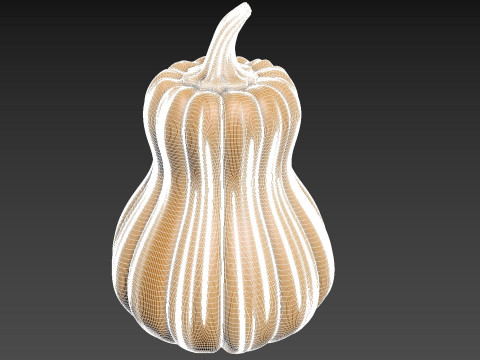 Pumpkin Vegetable2 3Dプリントモデル