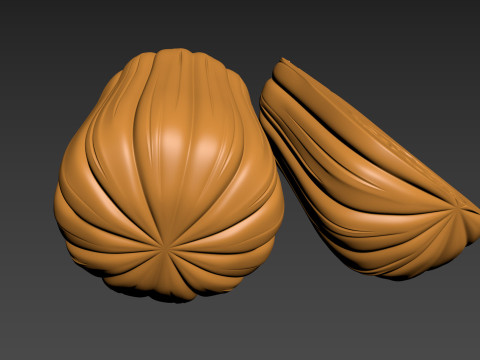 Pumpkin Vegetable 3 Half of Pampkin 3D Print Model