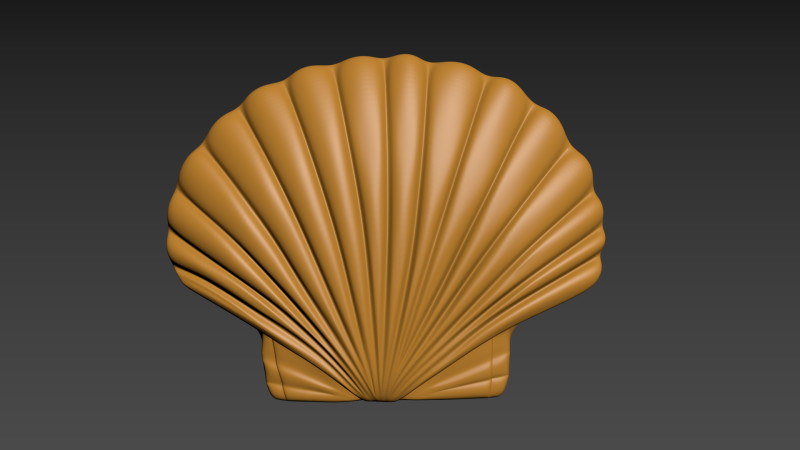 Seashell Shell Pearlshell 3D Print Model .c4d .max .obj .3ds .fbx .stl .blend