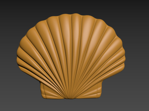 Seashell Shell Pearlshell 3D Принт Модель