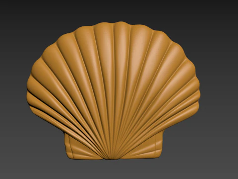 Ракушка из морской ракушки Жемчужная ракушка 3D Принт Модель