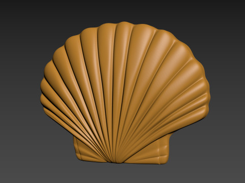 Seashell Shell Pearlshell 3D Print Model