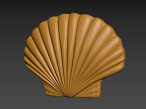 Seashell Shell Pearlshell 3D Print Model
