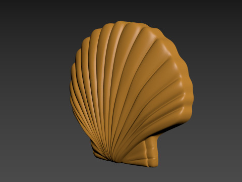 Seashell Shell Pearlshell 3D Print Model