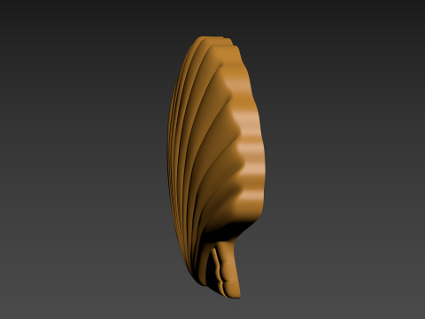 Seashell Shell Pearlshell 3D Print Model