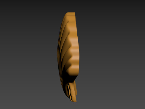 Seashell Shell Pearlshell 3D Print Model