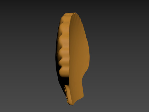 Seashell Shell Pearlshell 3D Print Model