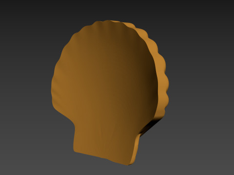 Seashell Shell Pearlshell 3D Print Model
