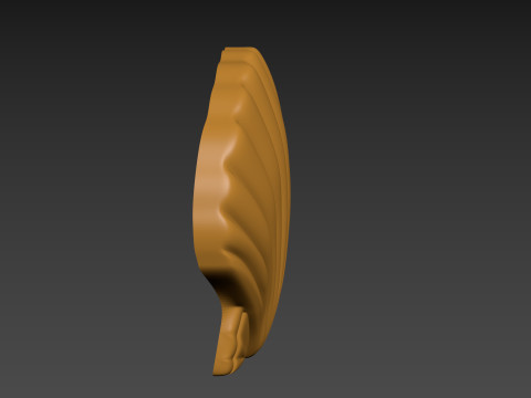 Seashell Shell Pearlshell 3D Print Model