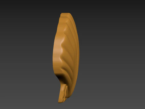 Seashell Shell Pearlshell 3D Print Model