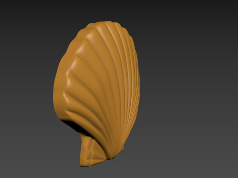 Seashell Shell Pearlshell 3D Print Model