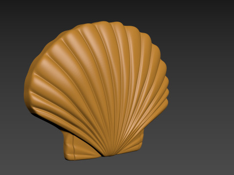 Seashell Shell Pearlshell 3D Print Model