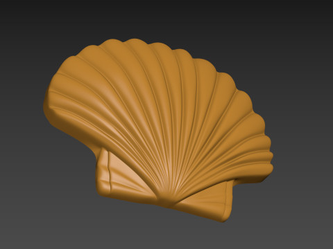 Seashell Shell Pearlshell 3D Print Model