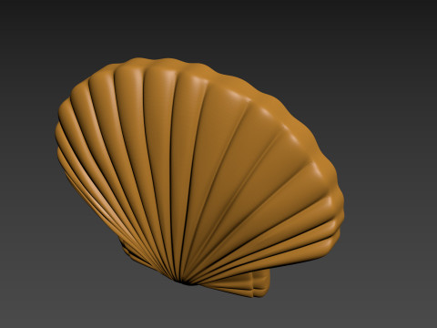 Seashell Shell Pearlshell 3D Print Model