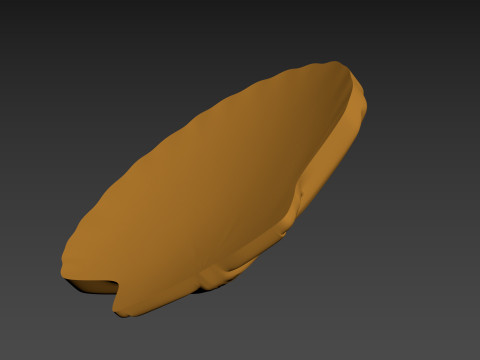 Seashell Shell Pearlshell 3D Print Model