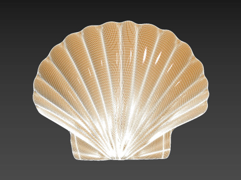 Seashell Shell Pearlshell 3D Print Model