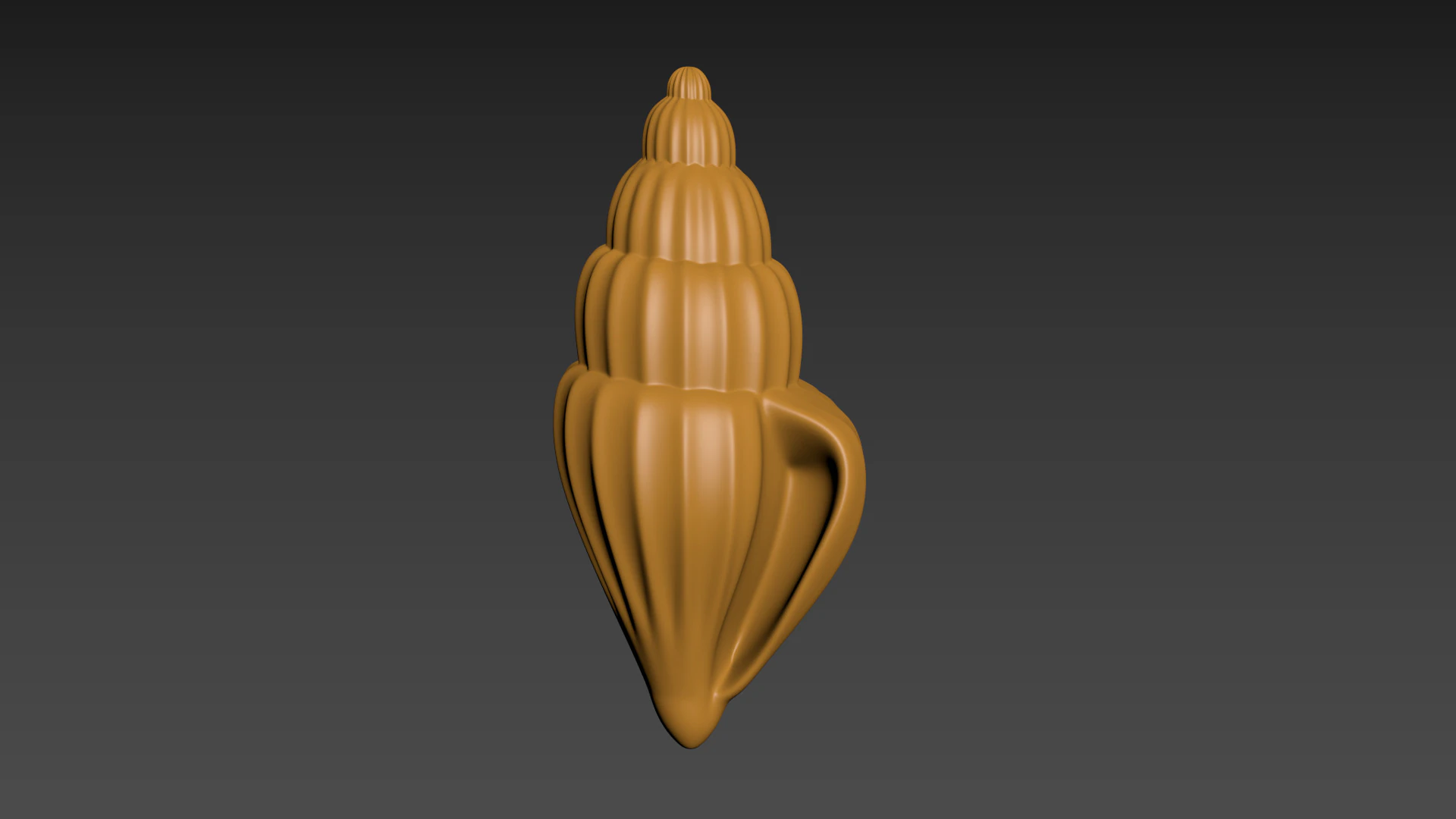 Seashell Clam Shell 3D Print Model .c4d .max .obj .3ds .fbx .stl .blend 