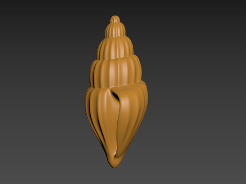 Seashell Clam Shell Modello di stampa 3D
