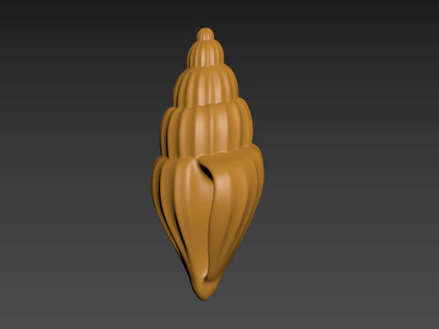 Seashell Clam Shell 3D Print Model
