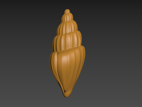 Seashell Clam Shell Modello di stampa 3D