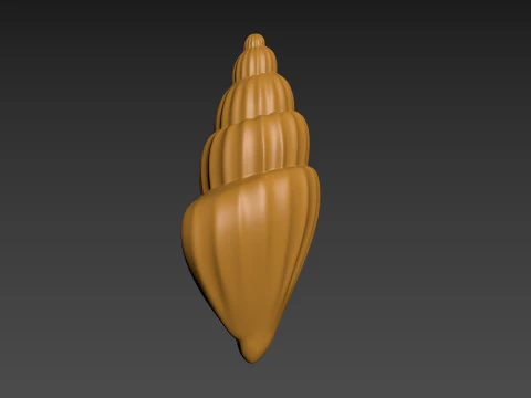 Seashell Clam Shell 3D Print Model