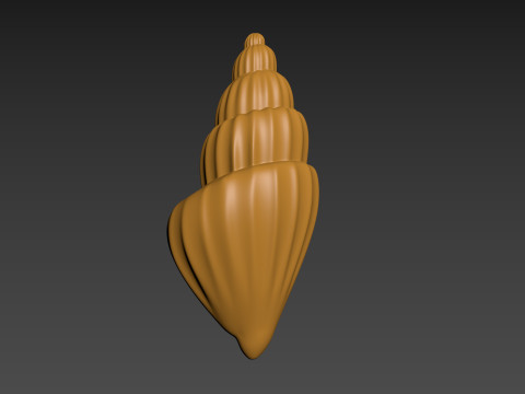 Seashell Clam Shell Modello di stampa 3D